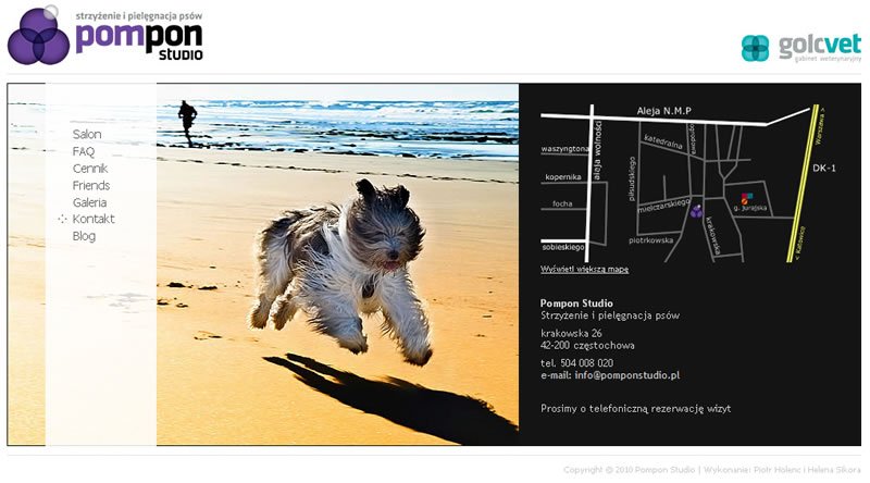 Pompon Studio - Strzyżenie i pielęgnacja psów